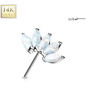 14kt. Gouden Front-facing Threadless Top met Gekleurde Marquise Opaal Steentjes - Wit Goud - Opaal Wit