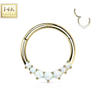 Massief Gouden Segmentring met scharnier en 7 Opaal Stenen