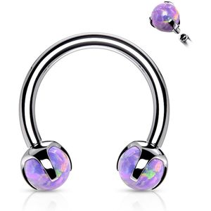 Intern Geschroefde Circular Barbell met claw set Opaal balletjes - Silver - Purple