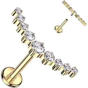 Interne Labret van Titanium met grote Kristallen Boog - Goud - Helder