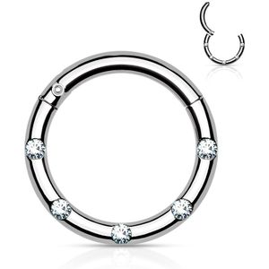 Gekleurde Chirurgisch Stalen Segmentring met ScharnierGekleurde Segment Ring met 5 front-facing kristallen - 8 mm - Silver