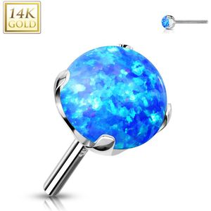14kt. Gouden Threadless Top met Prong-set Gekleurde Opaal Steen - Wit Goud - Opaal Blauw - 2 mm