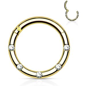 Gekleurde Chirurgisch Stalen Segmentring met ScharnierGekleurde Segment Ring met 5 front-facing kristallen - 10 mm - Gold