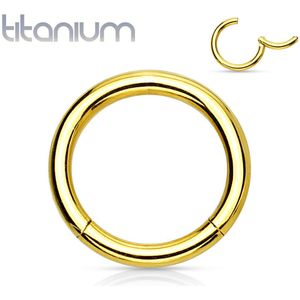 Gekleurde massief titanium segmentring met vast segment – 0.8 mm - 6 mm - Goud