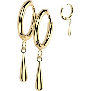 Titanium Hinged Oorringen met Traanvormige Hangers - Goud