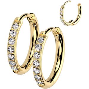 Titanium Hinged Oorringen met Kristalletjes - Goud - 10 mm