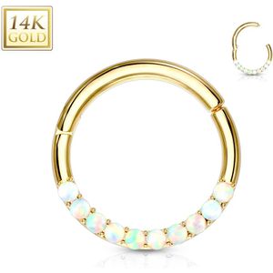 14Kt. gouden segment ring met vast segment en witte opaalsteentjes - 8 mm - Geel Goud