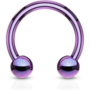 Gekleurde titanium plated circular barbell - 1 mm - 8 mm - 3 mm - paars