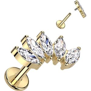 Titanium Intern Geschroefde Labret met 5 Markies kristallen - Goud