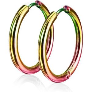 Paar regenboog gekleurde oorringen met naadloos scharnier - 20 mm