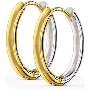 Paar Oorbel Ringen met Twee kleuren in verschillende Diktes - Goud - 14 mm - 2 mm