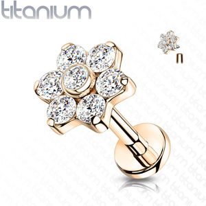 Intern Geschroefde Titanium Labret met Bladeren en Grote met Kristal-belegde Bloem Top
