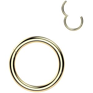 Titanium Segment Ring met 24K Gouden PVD Plating - 0.8 mm - 7 mm