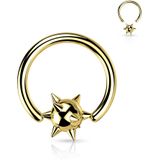 Chirurgisch Stalen Spike Ball Closure Ring - Zwart