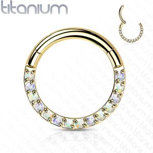 Titanium Segmentring met scharnier en Front-Facing Kristallen