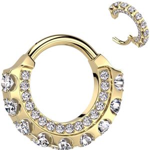 Titanium Segmentring met 3 rijen van gezette Kristallen - Goud
