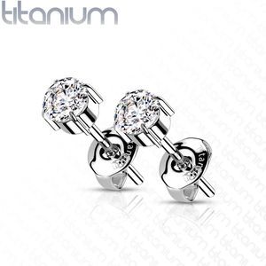 Setje Titanium Oorknopjes met Helder Prong Set Kristal