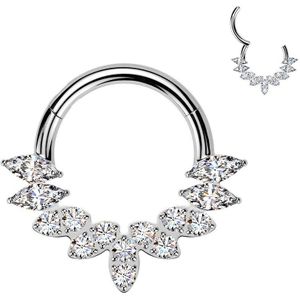 Titanium Segment Ring met Waaier van Ronde en Markies Geslepen Steentjes - Zilver - 10 mm