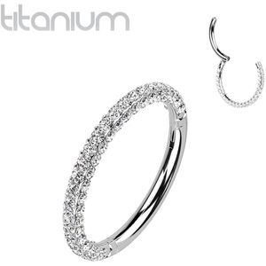 Titanium Segmentring met Steentjes Belegd op Meerdere Vlakken - Zilver - 10 mm - Helder