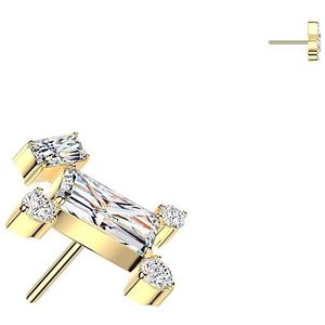 Threadless Titanium Hondvormig Topje met Verschillende Vormen Steentjes  - Goud