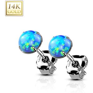 Paar Massief Gouden Oorbellen met Opaal Steen - 3 mm - Wit Goud - Opaal Blauw