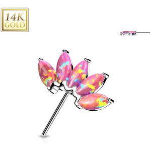 14kt. Gouden Front-facing Threadless Top met Gekleurde Marquise Opaal Steentjes - Wit Goud - Opaal Roze