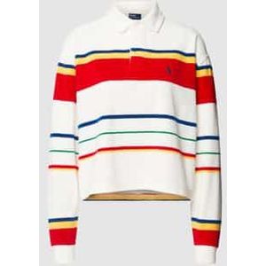 POLO Ralph Lauren Gestreepte Trui Multi