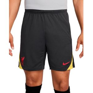 Nike Liverpool Fc Strike Short Heren - Replica-shorts - Kleur Grijs - Maat S