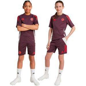 Adidas Fc Bayern Munchen Kinder Training Short Kinderen - Replica-shorts - Kleur Rood - Maat 152