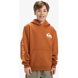 Quiksilver Omni Logo - Kapuzenpulli für Jungs 8 - 16 - Braun