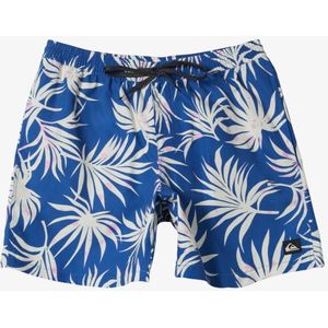 Quiksilver Everyday Mix Volley - Schwimmshorts für Jungen 8-16 - Blau