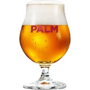 Palm bierglas - 25cl