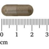 3x Lucovitaal Super Resveratrol 100 mg 30 capsules