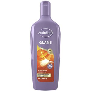 2+2 gratis: Andrelon Shampoo Glans 450 ml