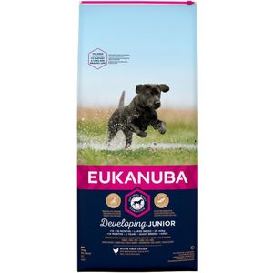 Eukanuba Dog Developing Junior Large 12 kg