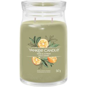 Yankee Candle Geurkaars Large Jar Sage & Citrus Signature 567 gr