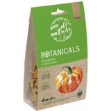 Bunny Nature Botanicals Konijnensnack Pompoenstukjes 80 gr