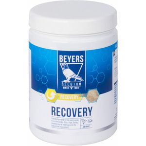 6x Beyers Recovery 600 gr