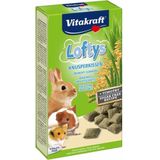 Vitakraft Loftys Knaagdier 100 gr