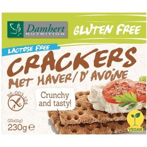 3x Damhert Crackers Haver Glutenvrij Lactosevrij 230 gr