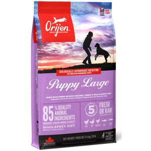 Orijen Hondenvoer Whole Prey Puppy Large Breed 6 kg