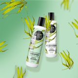 3x Organic Shop Strengthening Conditioner Anti-Hair Loss Algae and Lemongrass 280 ml