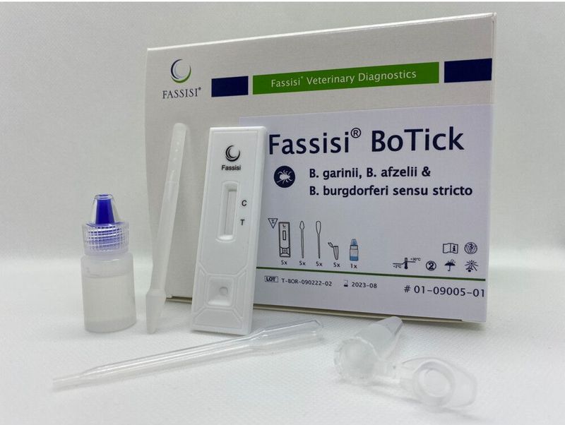 Fassisi - Sneltest Borrelia Teken - 5 Stuks