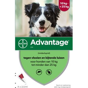 Advantage Anti Vlooiendruppels Hond 10 - 25 kg 4 pipetten