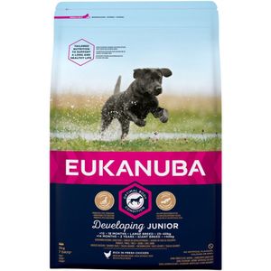 Eukanuba Dog Developing Junior Large 3 kg