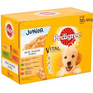 Pedigree Junior Hondenvoer Maaltijdzakjes Multipack Vlees in gelei 12 x 100 gr