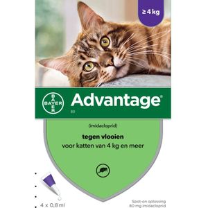 Advantage Anti Vlooiendruppels Kat vanaf 4 kg 4 pipetten