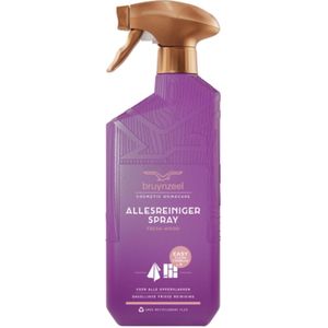 6x Bruynzeel Allesreinigerspray Fresh Wood 500 ml