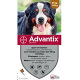 Advantix Spot On 600 Anti Vlooien en Teken Druppels Hond 40 - 60 kg 6 pipetten