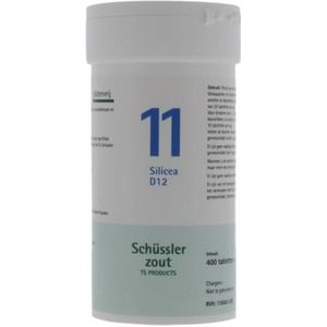 Pfluger Schussler Zout nr 11 Silicea D12 400 tabletten